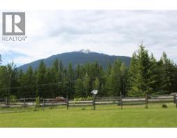 3015 6 Highway, Nakusp, BC V0G1R1 Photo 29