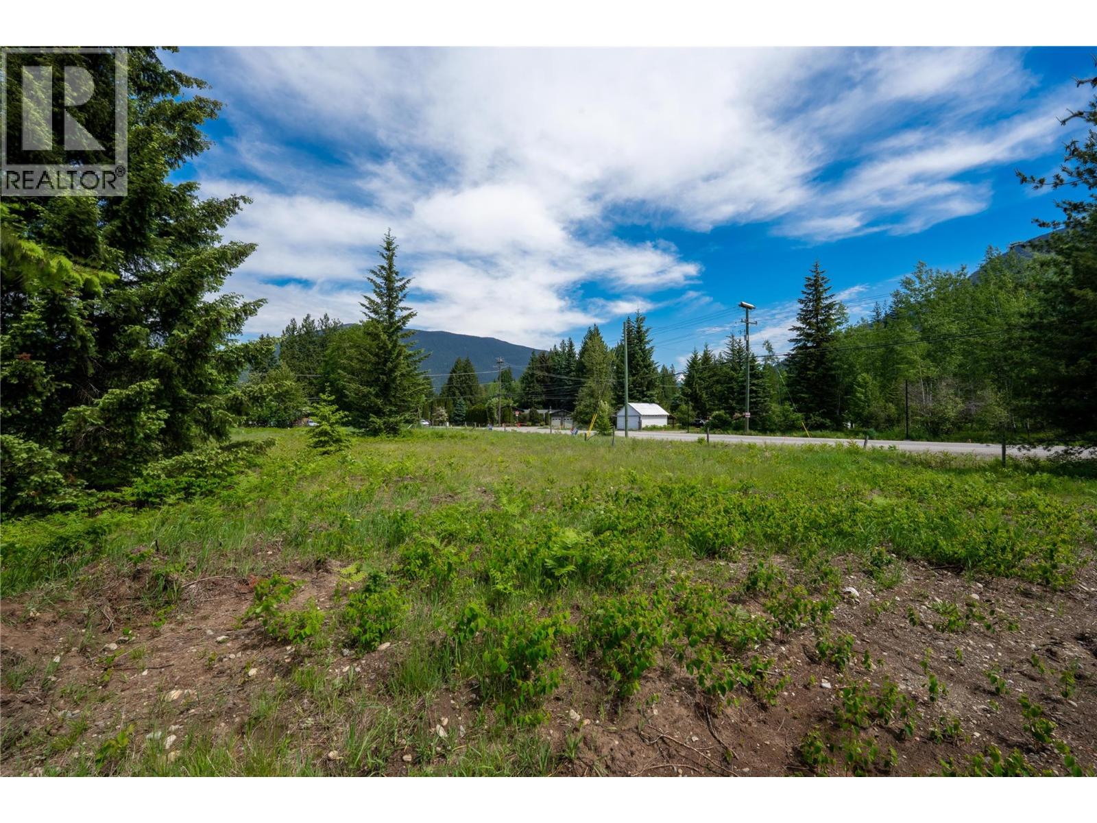  2006 Lanzo Lane, Revelstoke