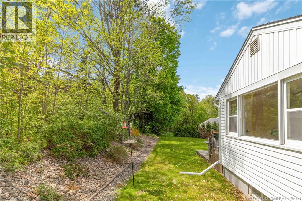 10 Shamrock Terrace - 36