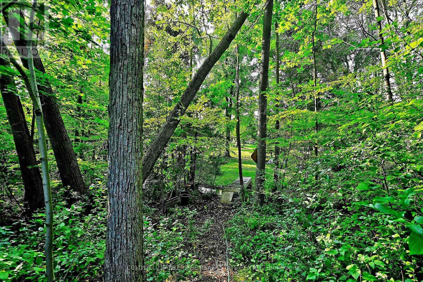 20805 BROCK ROAD - 35