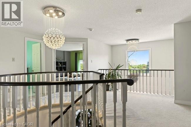 38 SUNDROP Court - 18