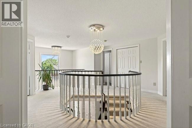 38 SUNDROP Court - 19