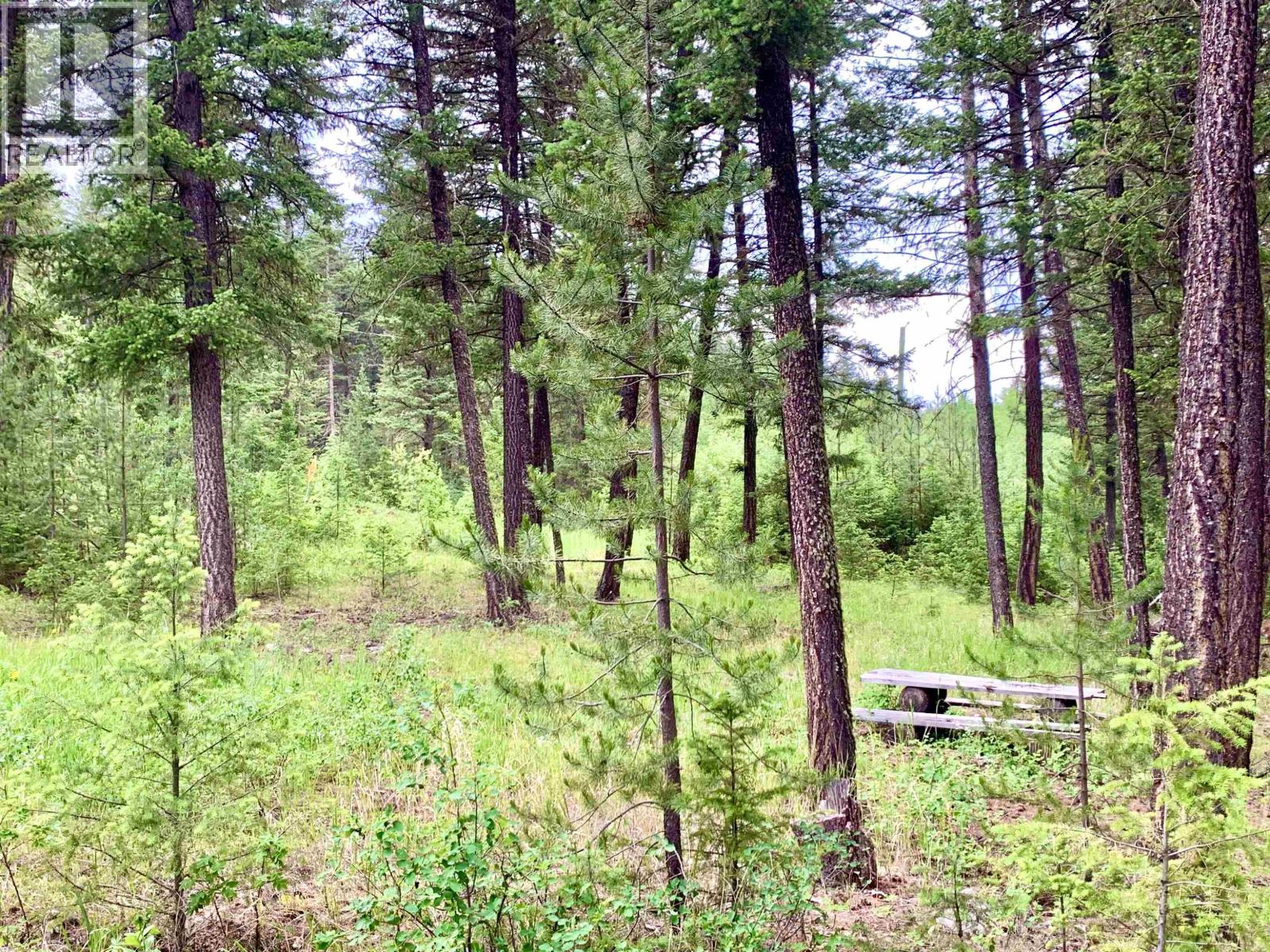 3340 WRIGHT STATION ROAD, Lac La Hache