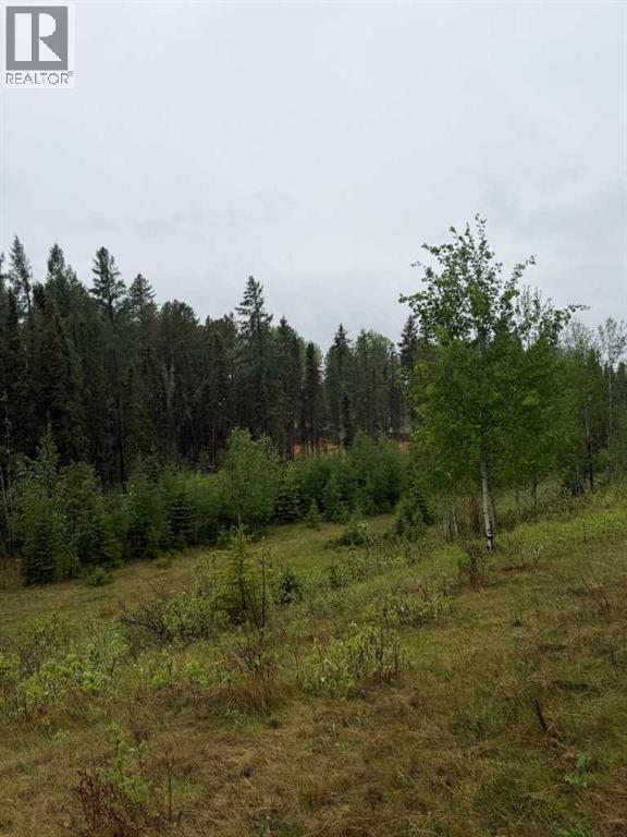 505 CLEARWATER ESTATES Crescent - photo 2