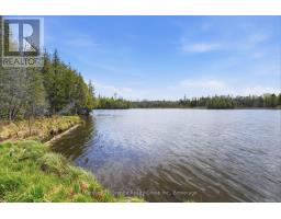 119 Gaffney Lake Lane, Bancroft, ON K0L1C0 Photo 37