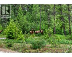 Lot 14 Caitlin Road, Christina Lake, BC V0H1E0 Photo 46