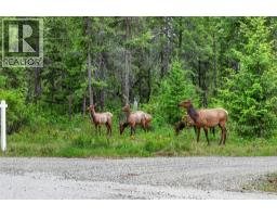 Lot 14 Caitlin Road, Christina Lake, BC V0H1E0 Photo 37