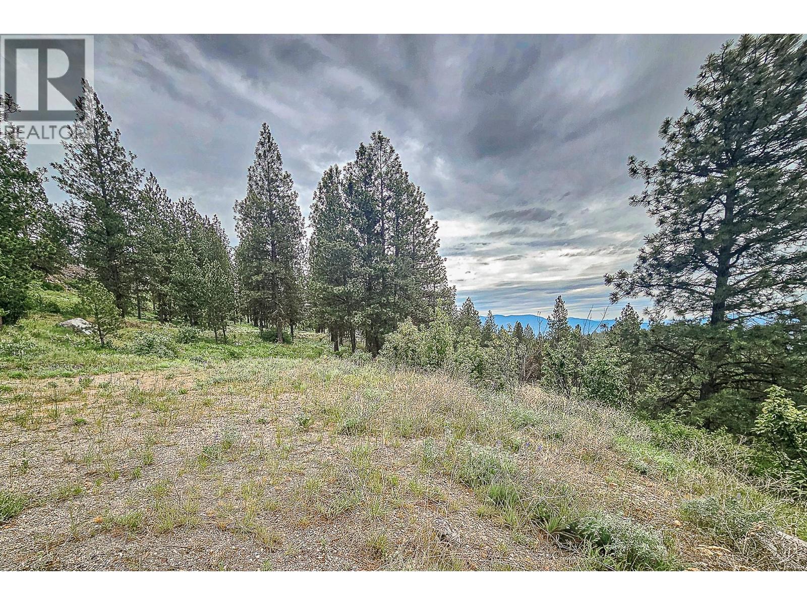  490 Sasquatch Trail, Osoyoos