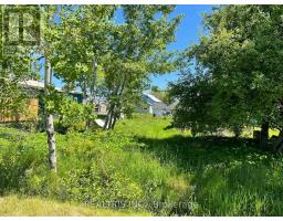 682419 260 Side Road, Melancthon, ON L9V2N1 Photo 18