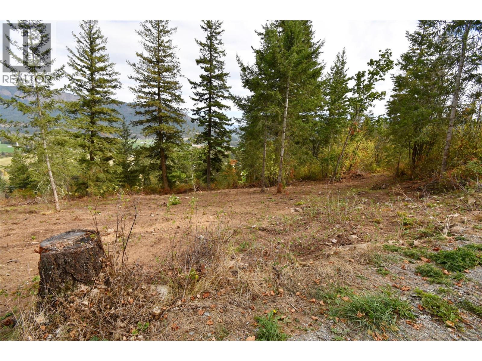  243 Crooked Pine Road, Enderby