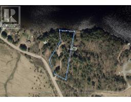 135b Bleski Road, Madawaska Valley, ON K0J1B0 Photo 50