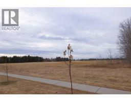 6302 48 Avenue, Ponoka, AB T4J1V5 Photo 30