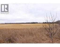 6302 48 Avenue, Ponoka, AB T4J1V5 Photo 23
