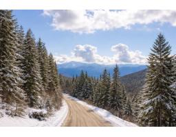 20418 Edelweiss Drive, Agassiz, BC V0M1A1 Photo 28