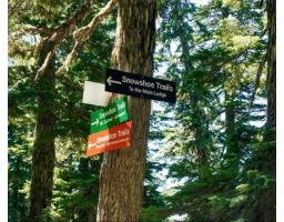 20708 Edelweiss Drive, Agassiz, BC V0M1A1 Photo 15