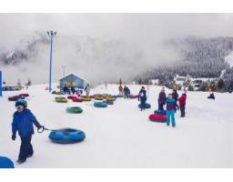 20708 Edelweiss Drive, Agassiz, BC V0M1A1 Photo 7