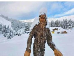 20708 Edelweiss Drive, Agassiz, BC V0M1A1 Photo 6