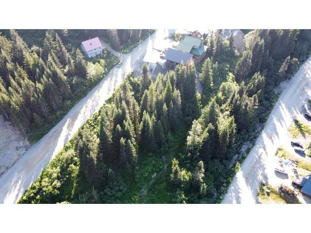 20708 EDELWEISS DRIVE, Agassiz — photo 3