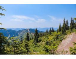 20708 Edelweiss Drive, Agassiz, BC V0M1A1 Photo 16
