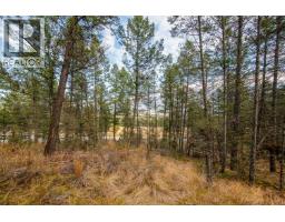 Valley Vista Way Lot# 24, Fairmont Hot Springs, BC V0B1L2 Photo 9