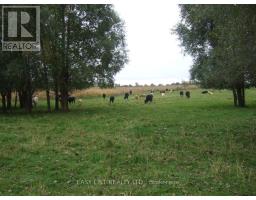 12860 County  Road 43, North Dundas, ON K0C1H0 Photo 7