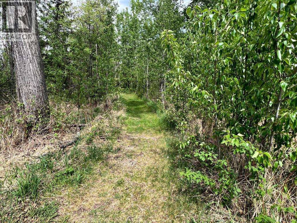 201, 62002 Twp Rd 462A — photo 16