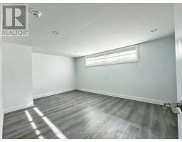 Lower - 181 Maple Avenue, Richmond Hill, ON L4C2J2 Photo 6