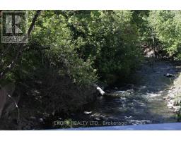 66 St Lawrence Street W, Centre Hastings, ON K0K2T0 Photo 26