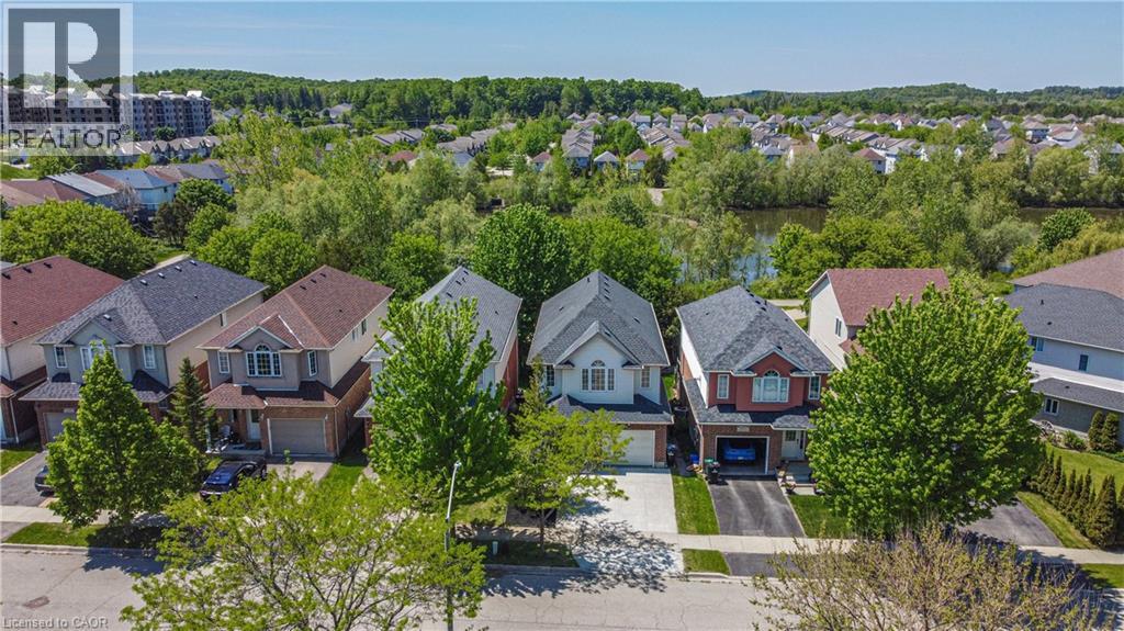 223 BUTTERCUP Court - 41