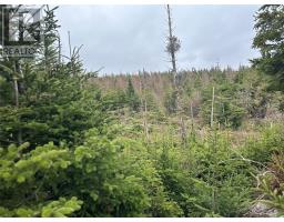 54 Ridge Road thumbnail 10