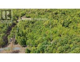 Lot 102 Cleversey Ridge Park, Fauxburg, NS B0J2C0 Photo 8