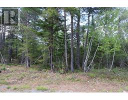 Lot 102 Cleversey Ridge Park, Fauxburg, NS B0J2C0 Photo 6