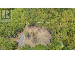 Lot 107 Cleversey Ridge Park, Fauxburg, NS B0J2C0 Photo 9