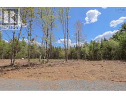 Lot 107 Cleversey Ridge Park, Fauxburg, NS B0J2C0 Photo 10