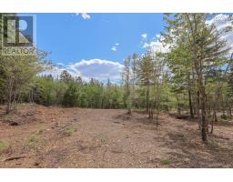 Lot 108 Cleversey Ridge Park, Fauxburg, NS B0J2C0 Photo 7