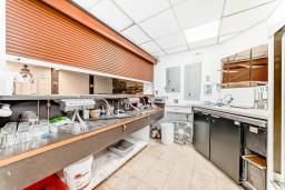 11150 82 St., N.w., Edmonton, AB T5B0G1 Photo 31