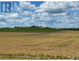 Other - 431 Meadowview Road, Kawartha Lakes, ON K0L2W0 Photo 10
