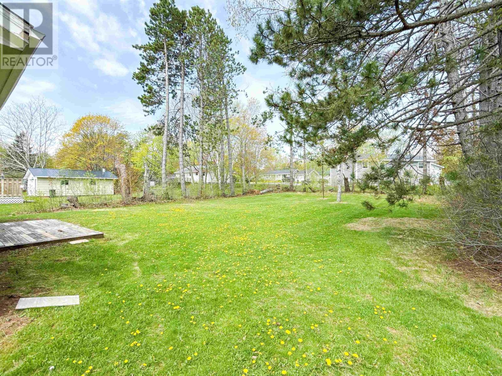 207 Belvedere Avenue - 19