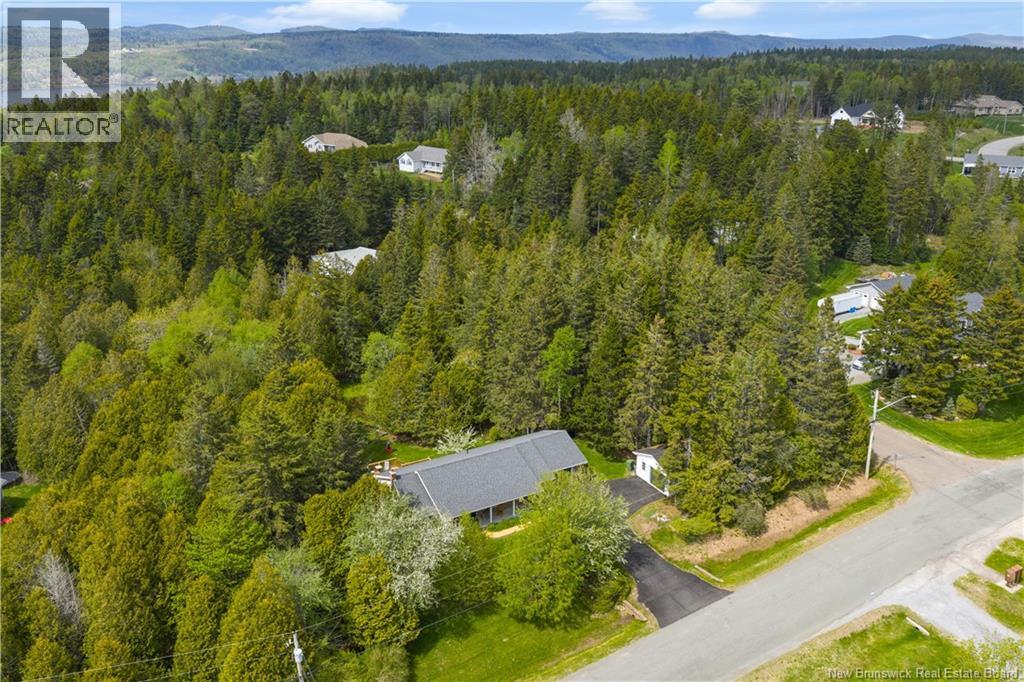 11 Evergreen Park Drive - 43