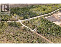 7.1 Acres Chemin De La Cedrière, Riviere Du Portage, NB E9H1T9 Photo 6