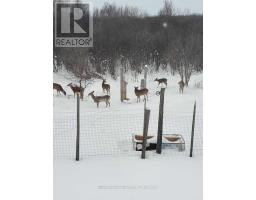 82675 Perth Road 180 Road, Huron East, ON N0K1A0 Photo 40