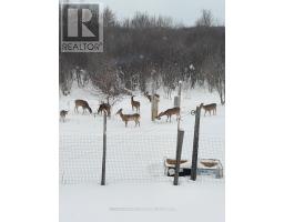 82675 Perth Road 180 Road, Huron East, ON N0K1A0 Photo 41