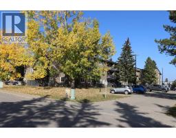 201a, 5611 10 Avenue, Edson, AB T7E1R4 Photo 23