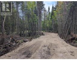 1366 Echo Ridge Road, Kearney, ON P0A1M0 Photo 6