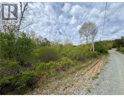 Wellington Drive, Grand Manan, NB E5G1M8 Photo 7