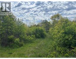 Wellington Drive, Grand Manan, NB E5G1M8 Photo 10