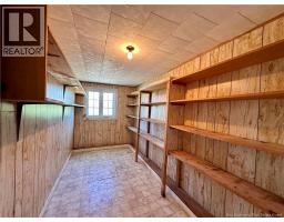 233 Hilldale Road, New Denmark, NB E7G1V7 Photo 18