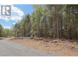 Lot 101 Cleversey Ridge Park, Fauxburg, NS B0J2C0 Photo 6