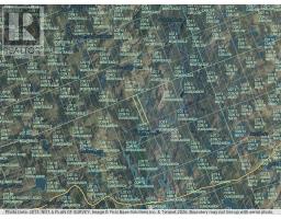 Lt 11 Con 16 Holland Lake Road, Bancroft, ON K0L1C0 Photo 6