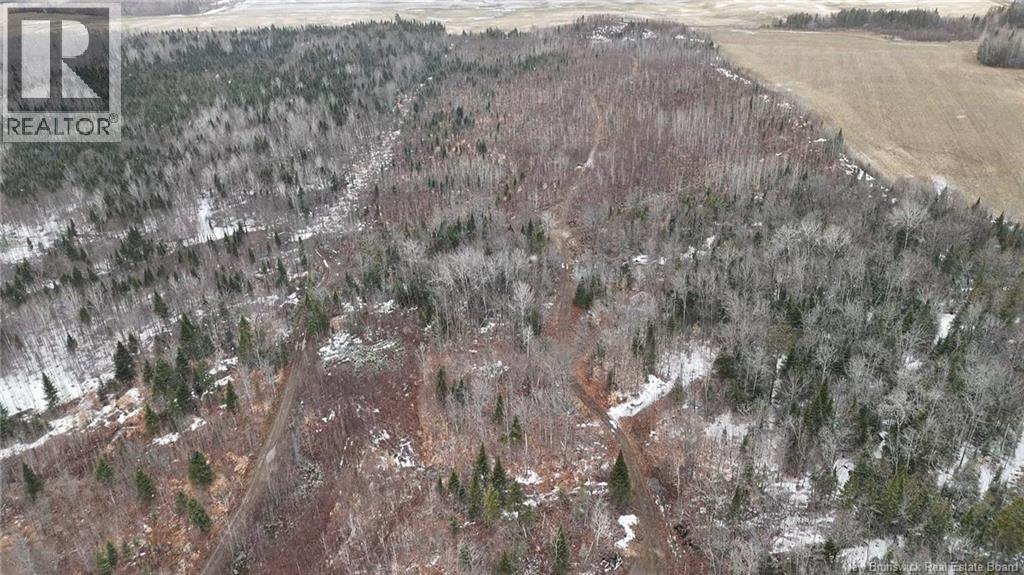 89 Lebel Road - Image 17